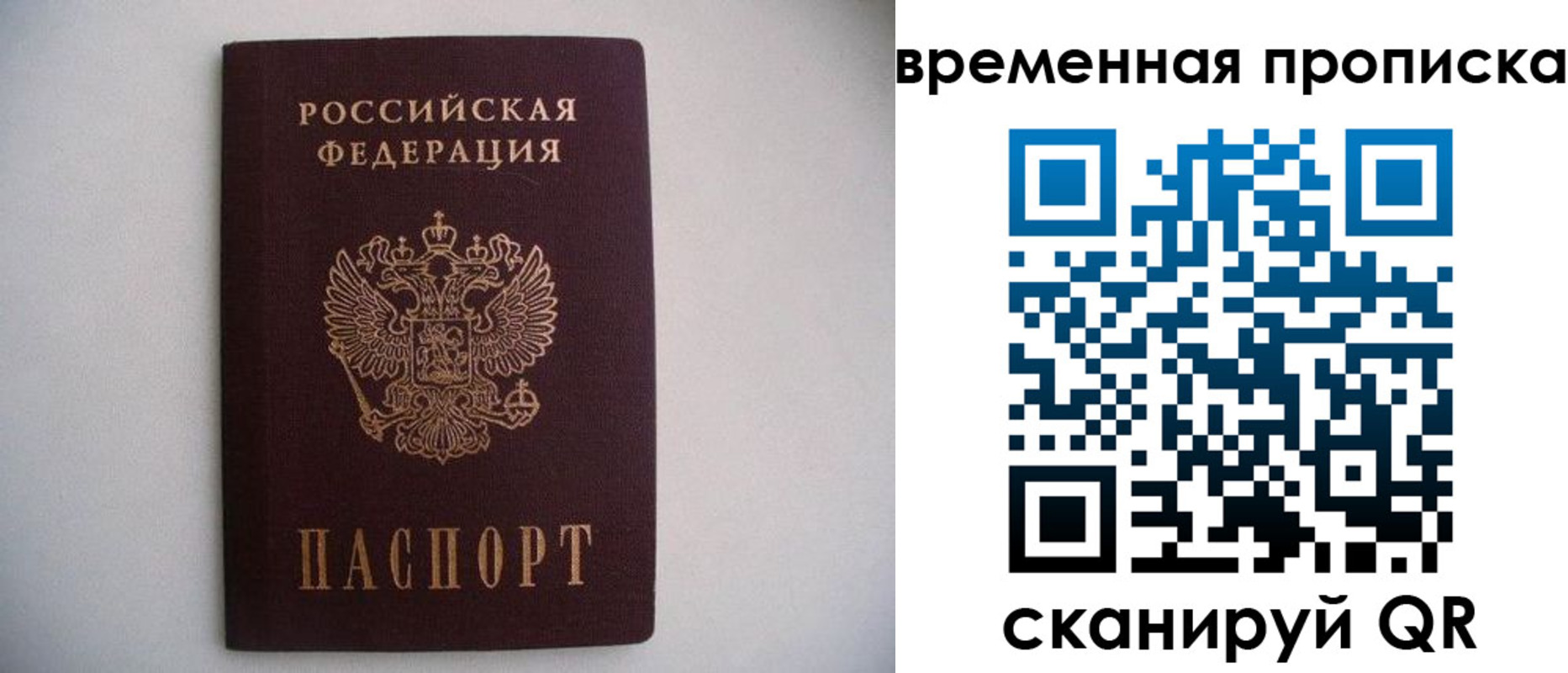 прописка для работы в Стародубе